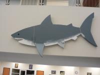 Sharks - Great White Shark - Papier Mache